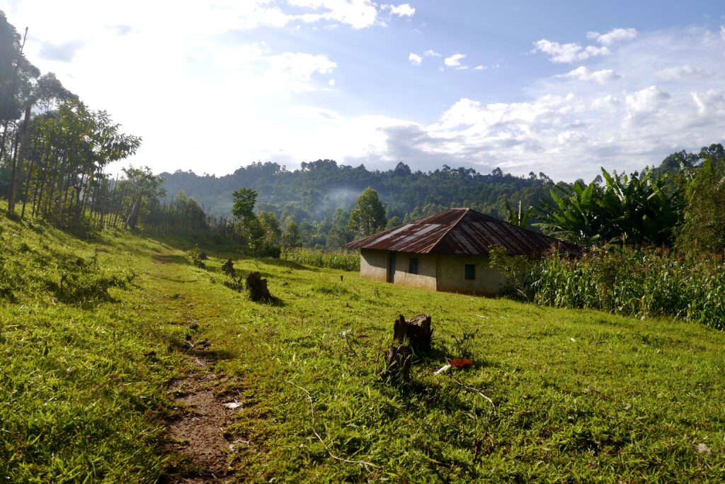 P1150847